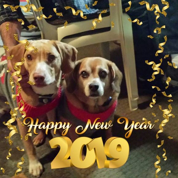 Meet your Posher, Sharon - Picture 1 of 1